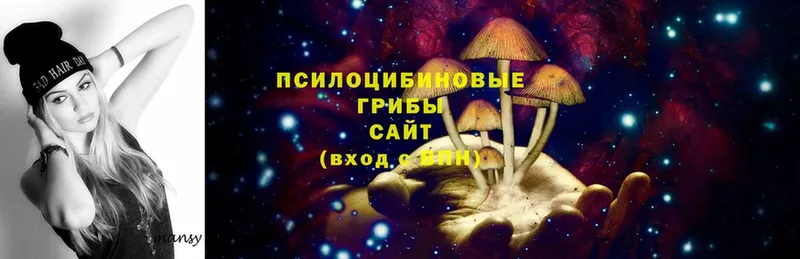 Галлюциногенные грибы Magic Shrooms  МЕГА вход  Новошахтинск 